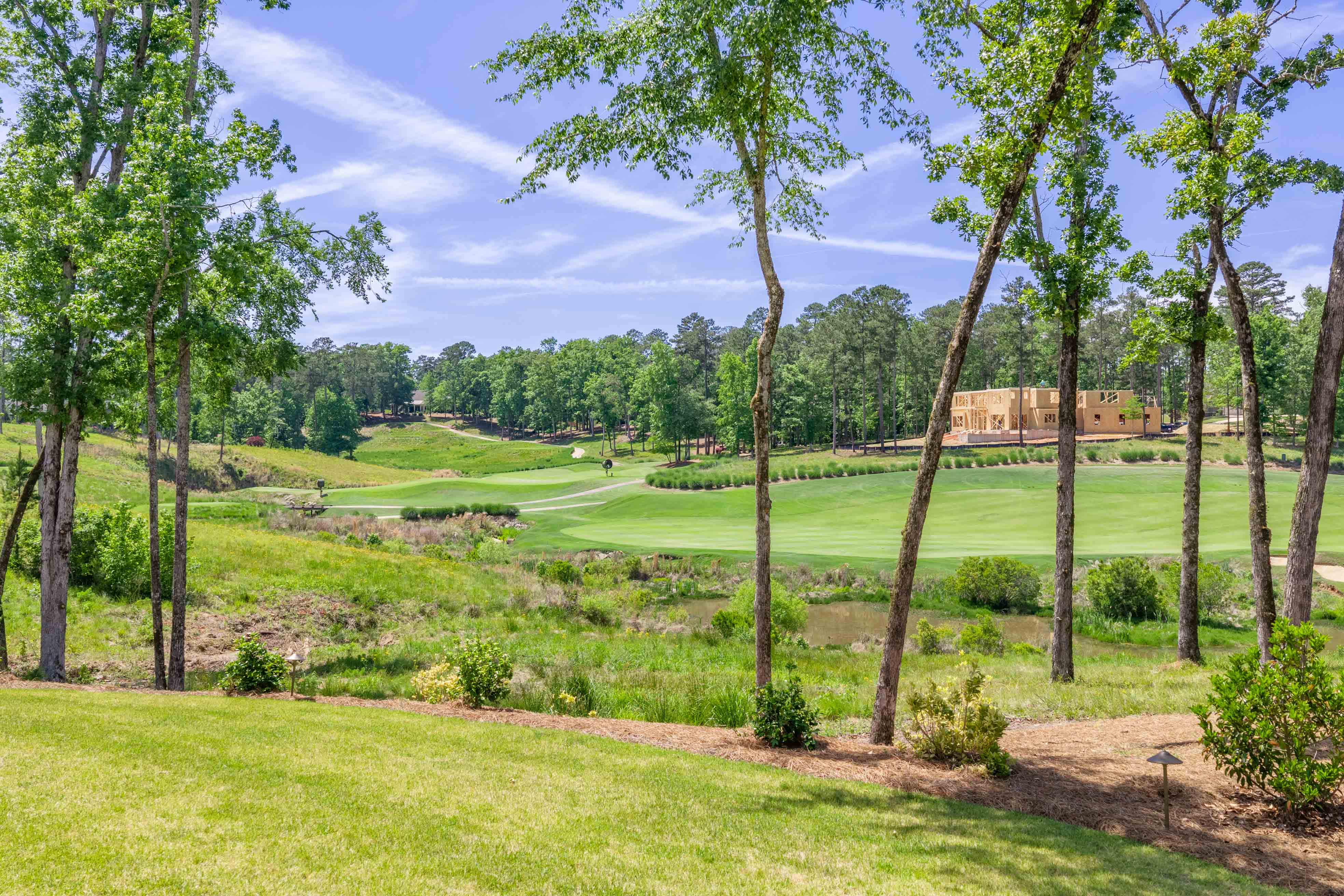 1220 Rose Creek image 65
